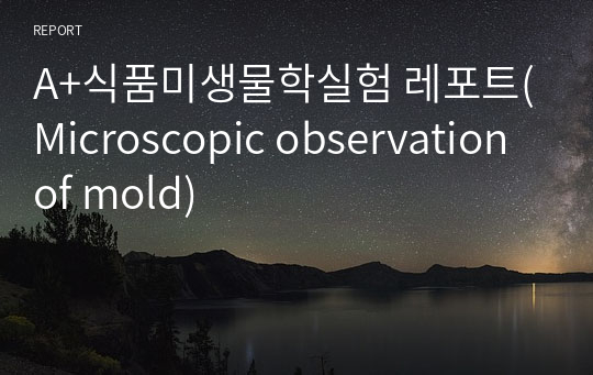 A+식품미생물학실험 레포트(Microscopic observation of mold)