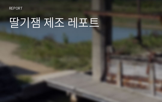 딸기잼 제조 레포트