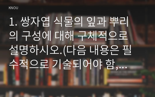 1. 쌍자엽 식물의 잎과 뿌리의 구성에 대해 구체적으로 설명하시오.(다음 내용은 필수적으로 기술되어야 함, 잎의 내부조직, 뿌리 선단의 내부 조직 및 기능별 부위)