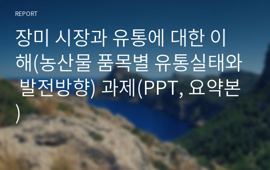 장미 시장과 유통에 대한 이해(농산물 품목별 유통실태와 발전방향) 과제(PPT, 요약본)