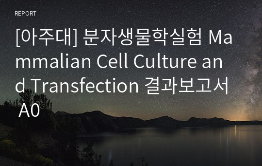 [아주대] 분자생물학실험 Mammalian Cell Culture and Transfection 결과보고서 A0