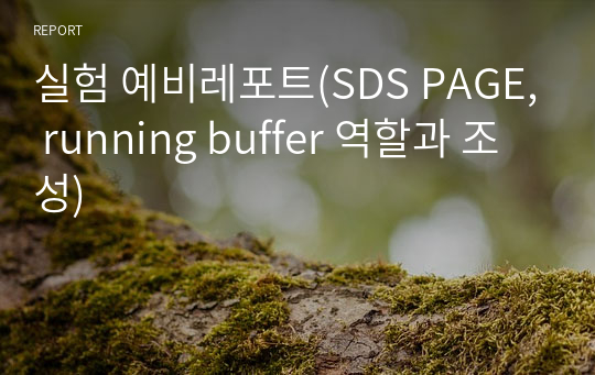 실험 예비레포트(SDS PAGE, running buffer 역할과 조성)