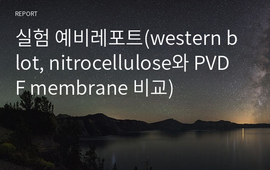 실험 예비레포트(western blot, nitrocellulose와 PVDF membrane 비교)