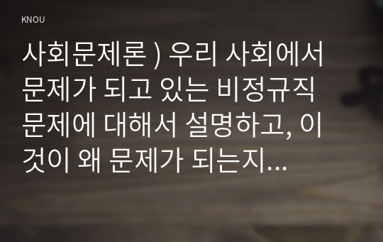 사회에서 문제가 되고 있는 비정규직 문제에 대해서 설명하고, 사회문제론, 이것이 왜 문제가 되는지 그 대안에 대해서 서술