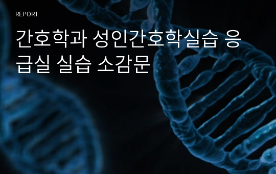 간호학과 성인간호학실습 응급실 실습 소감문