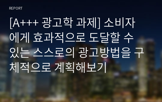 [A+++ 광고학 과제] 소비자에게 효과적으로 도달할 수 있는 스스로의 광고방법을 구체적으로 계획해보기