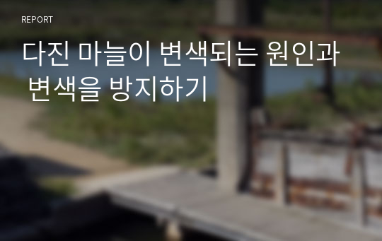 다진 마늘이 변색되는 원인과 변색을 방지하기