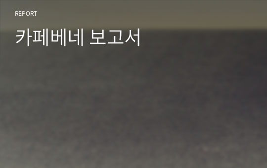 카페베네 보고서