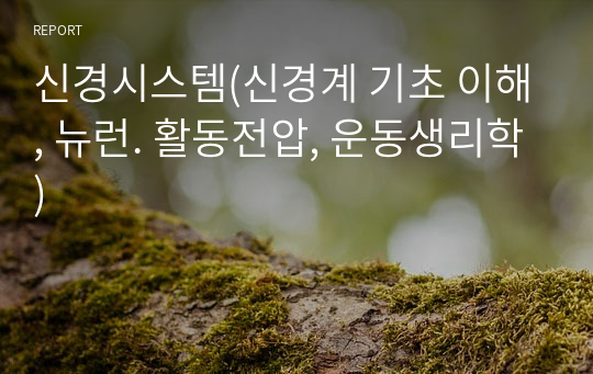 신경시스템(신경계 기초 이해, 뉴런. 활동전압, 운동생리학)