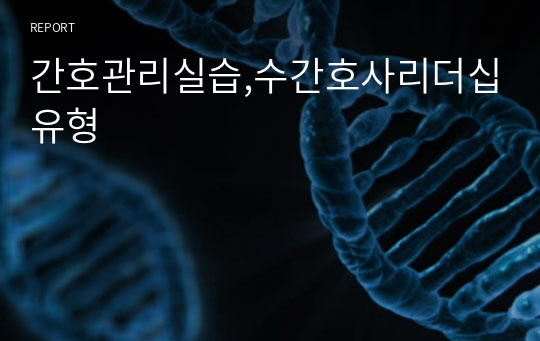 간호관리실습,수간호사리더십유형