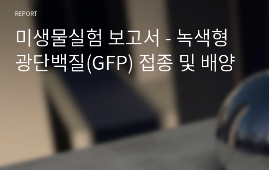 미생물실험 보고서 - 녹색형광단백질(GFP) 접종 및 배양