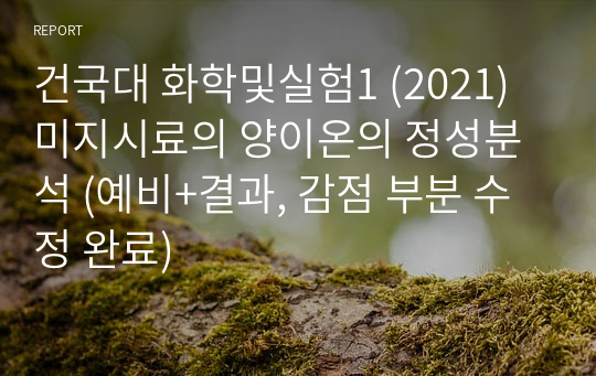 건국대 화학및실험1 (2021) 미지시료의 양이온의 정성분석 (예비+결과, 감점 부분 수정 완료)