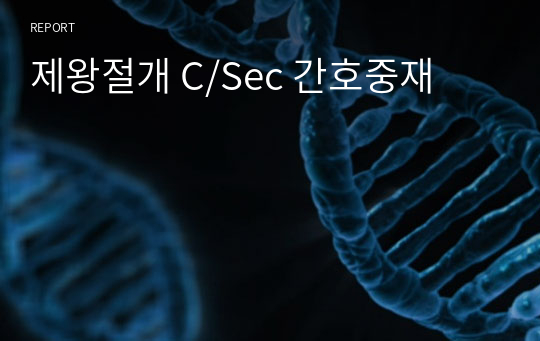 제왕절개 C/Sec 간호중재