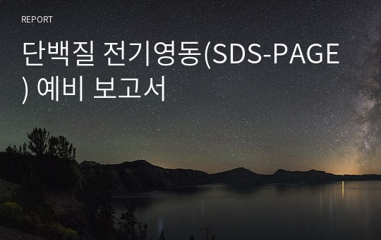 단백질 전기영동(SDS-PAGE) 예비 보고서