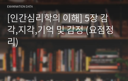 [인간심리학의 이해] 5장 감각,지각,기억 및 감정 요점정리(진주보건대)