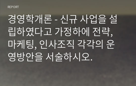 경영학개론 - 신규 사업을 설립하였다고 가정하에 전략, 마케팅, 인사조직 각각의 운영방안을 서술하시오.