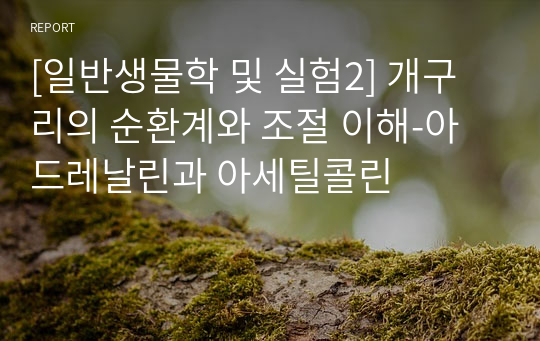 [일반생물학 및 실험2] 개구리의 순환계와 조절 이해-아드레날린과 아세틸콜린