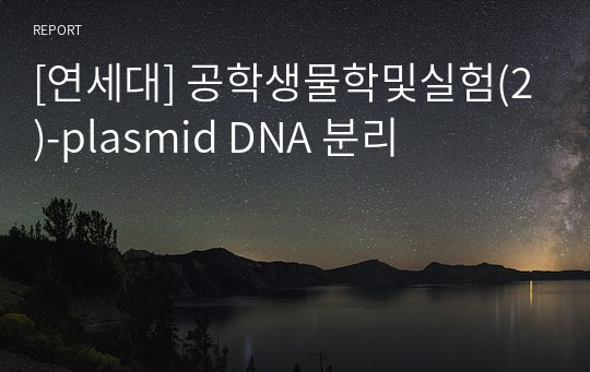[연세대] 공학생물학및실험(2)-plasmid DNA 분리