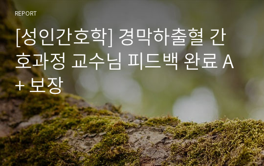 [성인간호학] 경막하출혈 간호과정 교수님 피드백 완료 A+ 보장