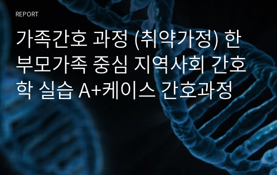 가족간호 과정 (취약가정) 한부모가족 중심 지역사회 간호학 실습 A+케이스 간호과정