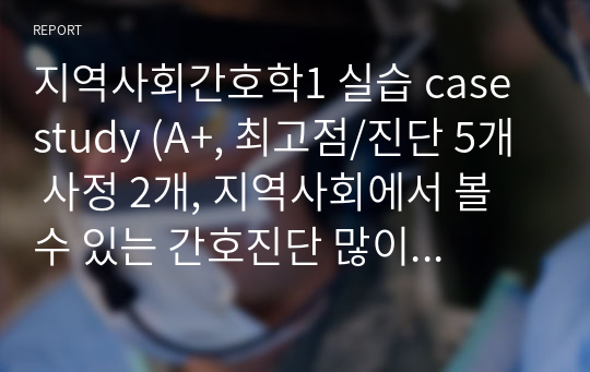 지역사회간호학1 실습 case study (A+, 최고점/진단 5개 사정 2개, 지역사회에서 볼 수 있는 간호진단 많이 넣어놨어요 !)