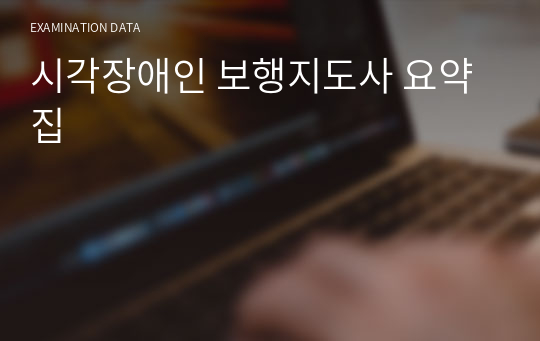 시각장애인 보행지도사 요약집