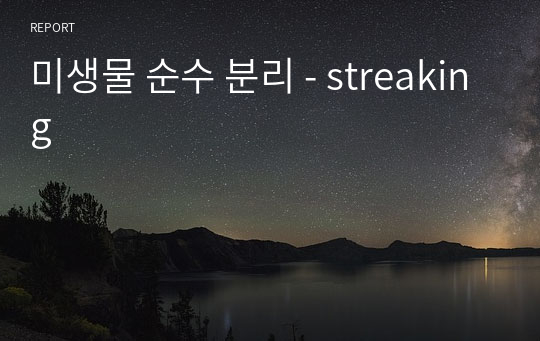 미생물 순수 분리 - streaking