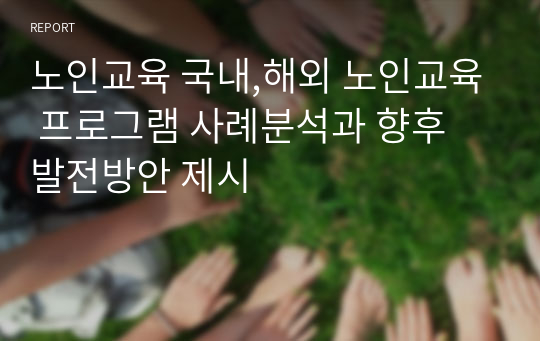 노인교육 국내,해외 노인교육 프로그램 사례분석과 향후 발전방안 제시