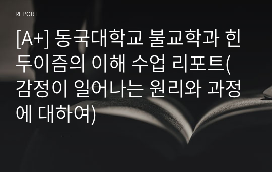 [A+] 동국대학교 불교학과 힌두이즘의 이해 수업 리포트(감정이 일어나는 원리와 과정에 대하여)