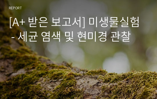 [A+ 받은 보고서] 미생물실험 - 세균 염색 및 현미경 관찰