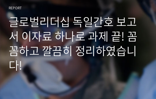 글로벌리더십 독일간호 보고서 이자료 하나로 과제 끝! 꼼꼼하고 깔끔히 정리하였습니다!