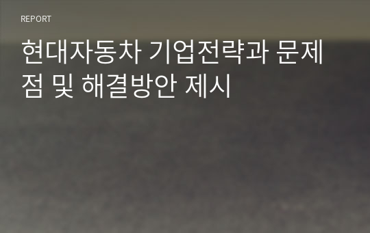 현대자동차 기업전략과 문제점 및 해결방안 제시