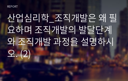 산업심리학_조직개발은 왜 필요하며 조직개발의 발달단계와 조직개발 과정을 설명하시오. (2)