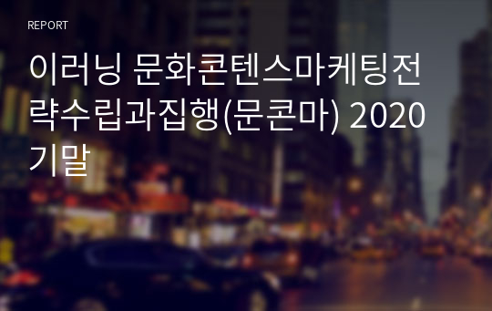 이러닝 문화콘텐스마케팅전략수립과집행(문콘마) 2020 기말