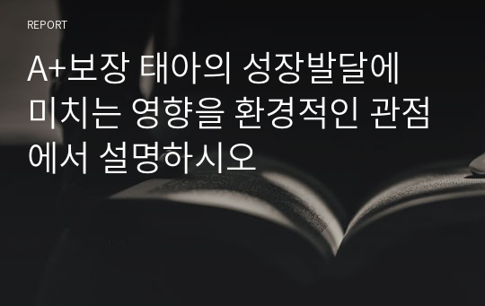 A+보장 태아의 성장발달에 미치는 영향을 환경적인 관점에서 설명하시오