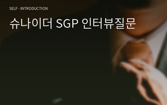 슈나이더 SGP 인터뷰질문