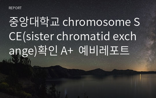 중앙대학교 chromosome SCE(sister chromatid exchange)확인 A+  예비레포트
