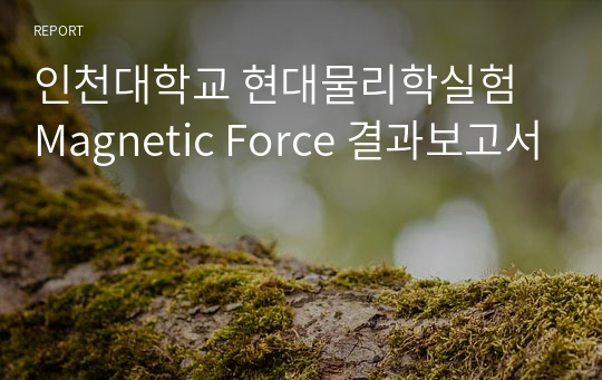 인천대학교 현대물리학실험 Magnetic Force 결과보고서