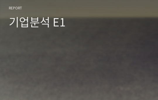 기업분석 E1