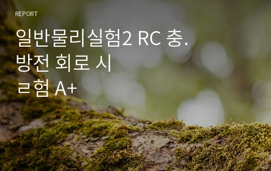 일반물리실험2 RC 충. 방전 회로 실험 A+