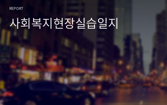 사회복지현장실습일지