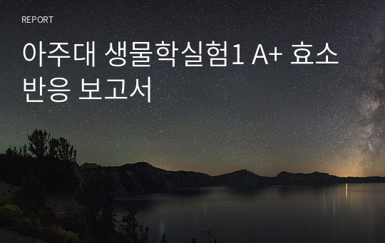 아주대 생물학실험1 A+ 효소반응 보고서