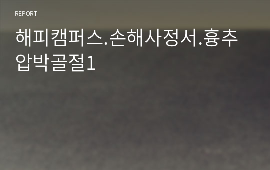 해피캠퍼스.손해사정서.흉추압박골절1