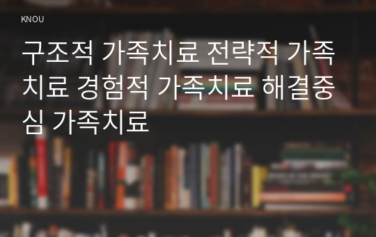 구조적 가족치료 전략적 가족치료 경험적 가족치료 해결중심 가족치료