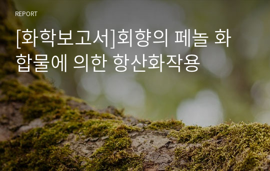 [화학보고서]회향의 페놀 화합물에 의한 항산화작용