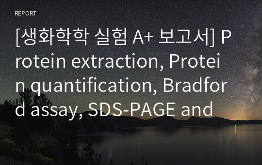 [생화학학 실험 A+ 보고서] Protein extraction, Protein quantification, Bradford assay, SDS-PAGE and western blotting