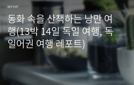 동화 속을 산책하는 낭만 여행(13박 14일 독일 여행, 독일어권 여행 레포트)