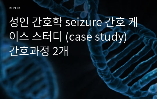 성인 간호학 seizure 간호 케이스 스터디 (case study) 간호과정 2개