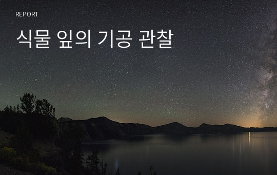 식물 잎의 기공 관찰