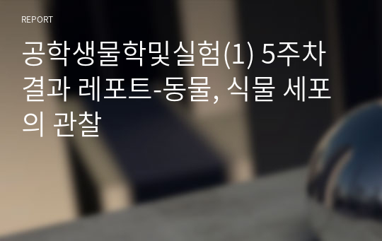 공학생물학및실험(1) 5주차 결과 레포트-동물, 식물 세포의 관찰